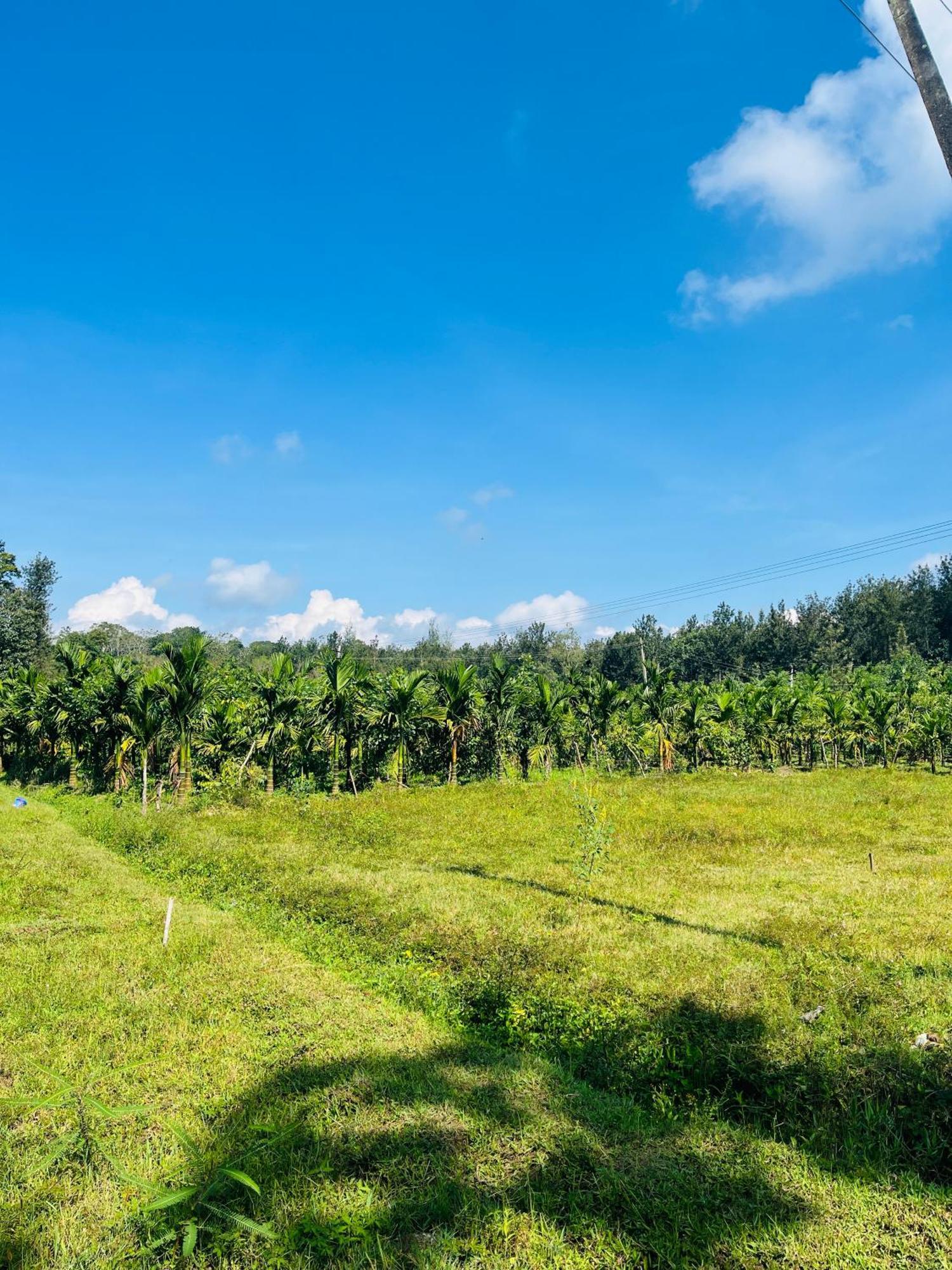 Preetham Homestay Kushālnagar Zewnętrze zdjęcie