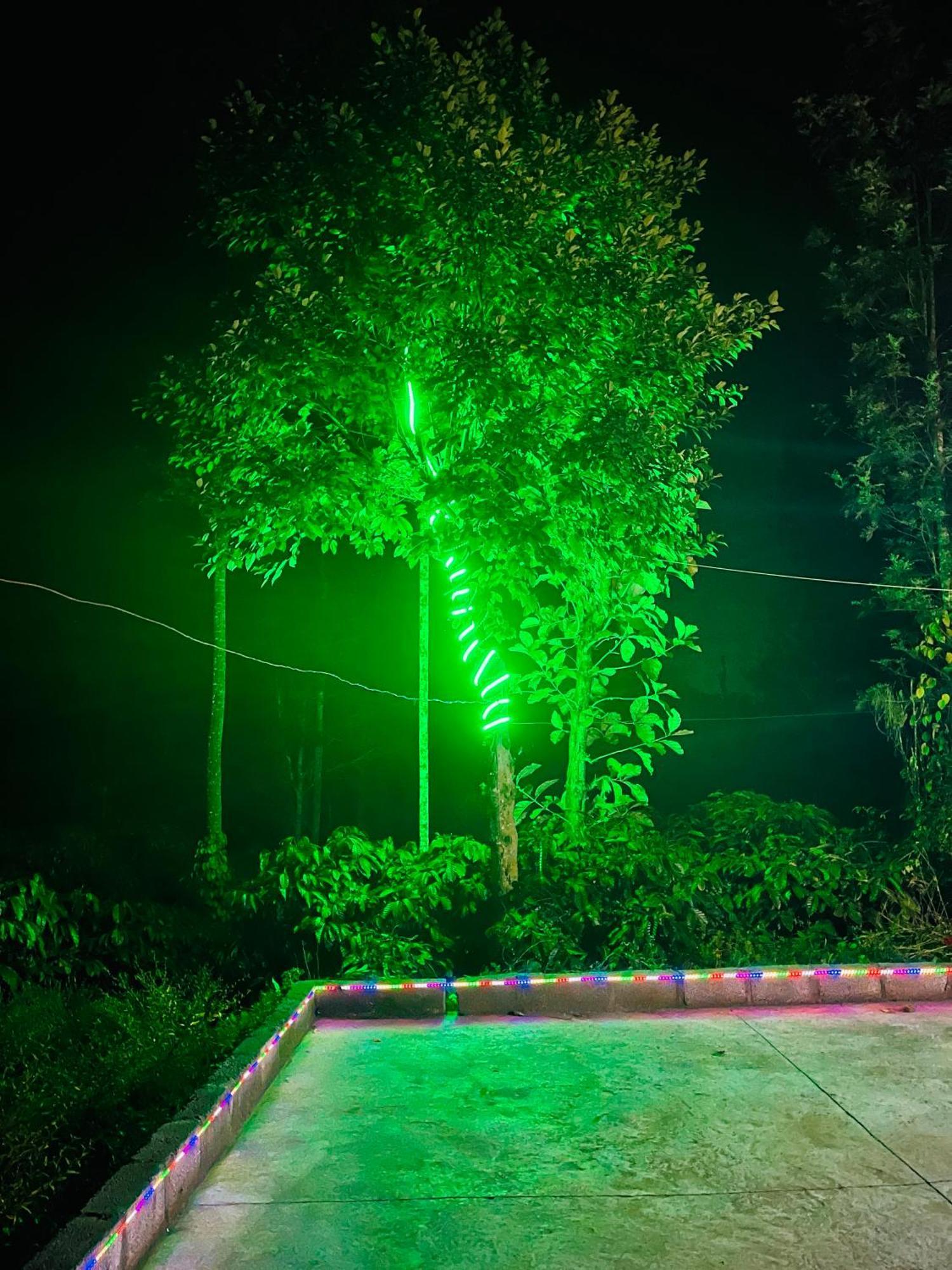 Preetham Homestay Kushālnagar Zewnętrze zdjęcie